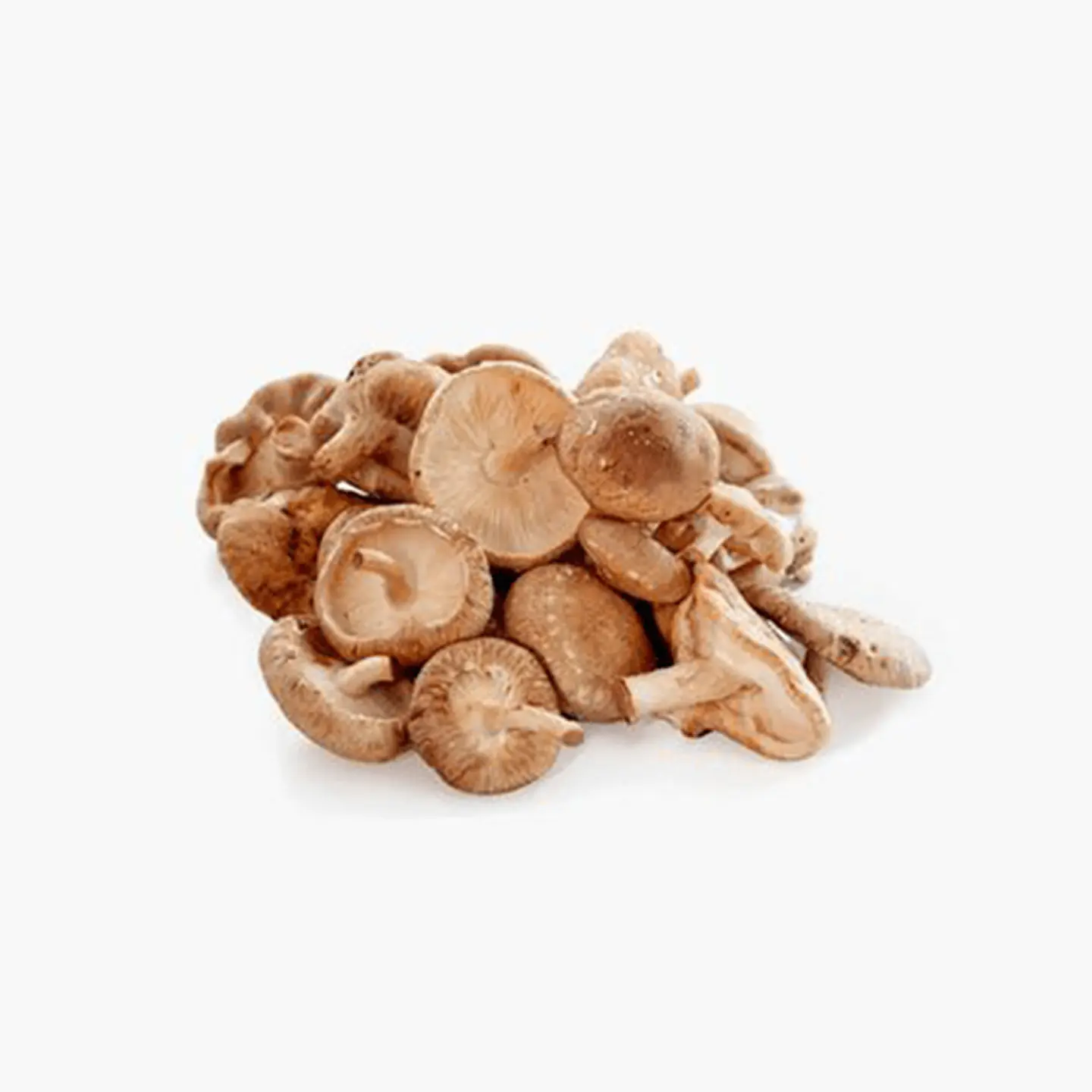 Baby Bella Mushrooms 1