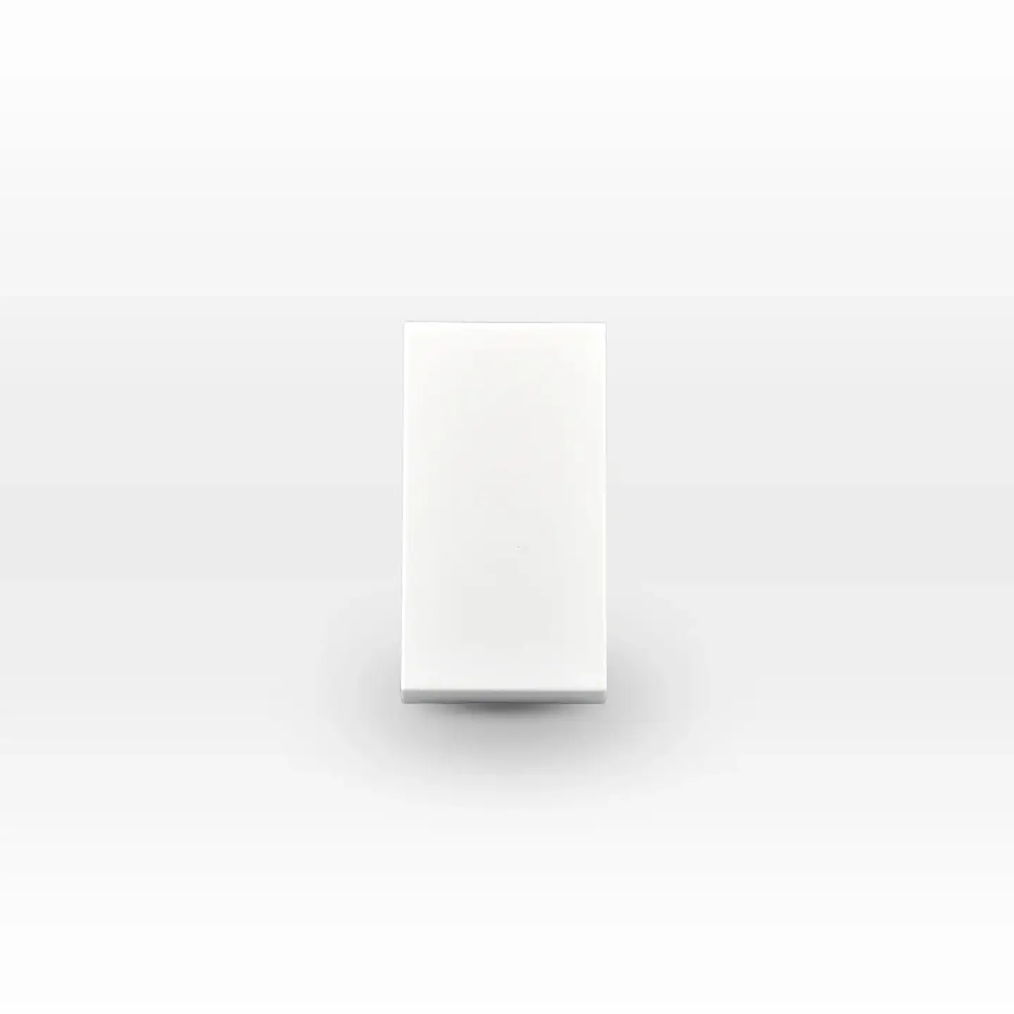 MÓDULO INTERRUPTOR 9/12 10A 250V BLANCO LEXO 1