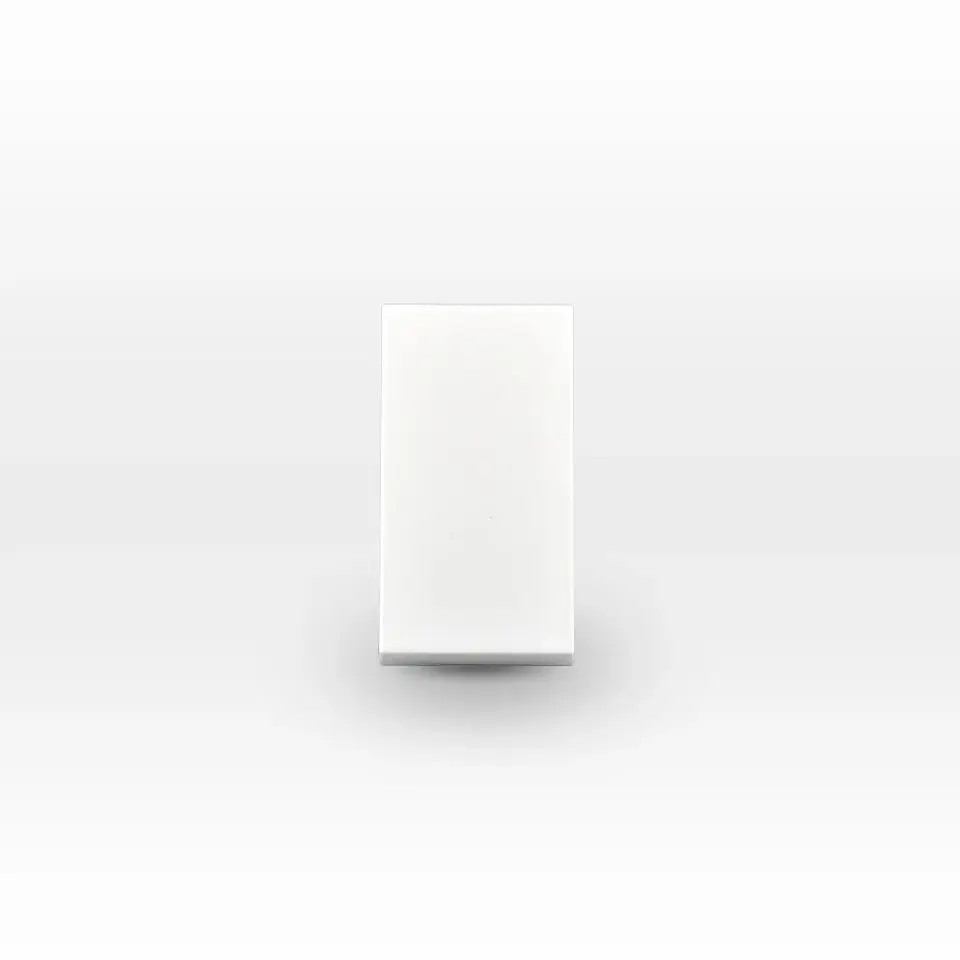 MÓDULO INTERRUPTOR 9/12 10A 250V BLANCO LEXO 1