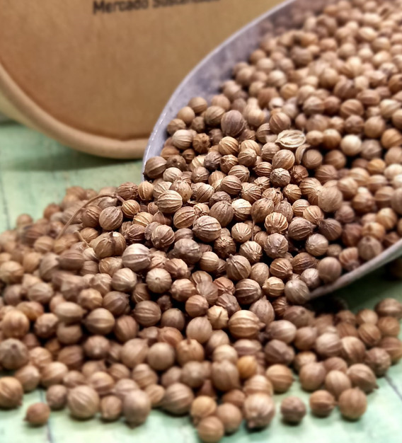 Semilla de Cilantro para infusión