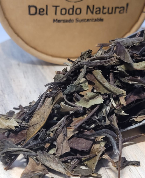 Té Blanco