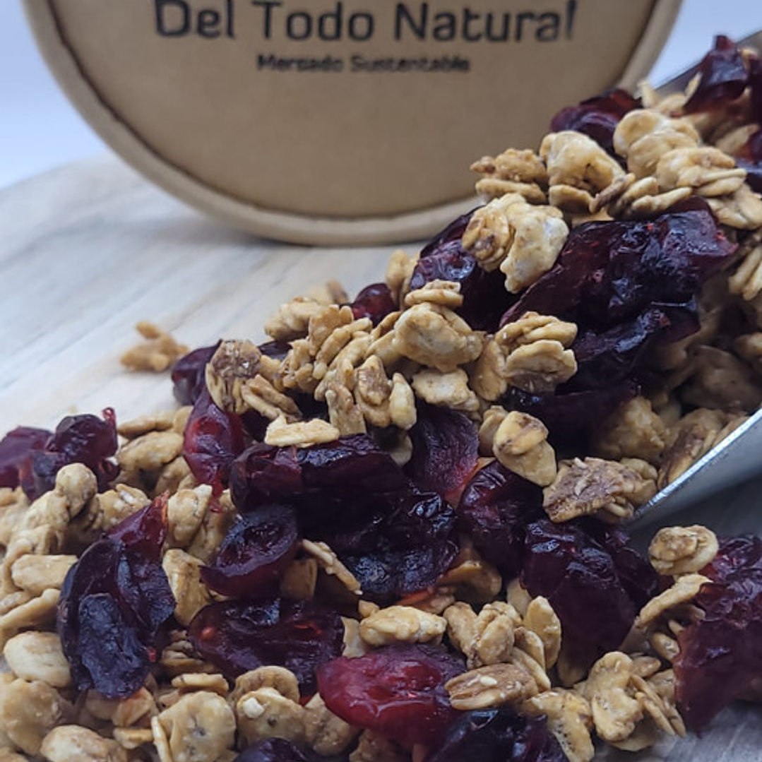 Avena Integral endulzada con Miel con Cranberries Deshidratados 1