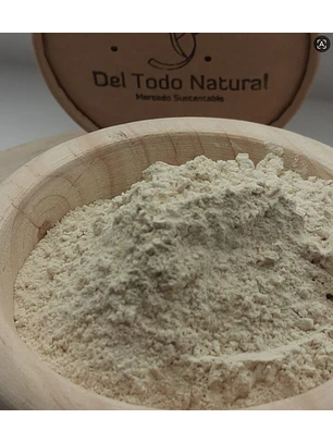 Cebolla en polvo
