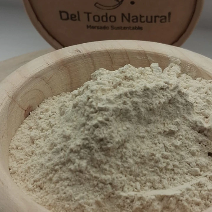 Cebolla en polvo 1