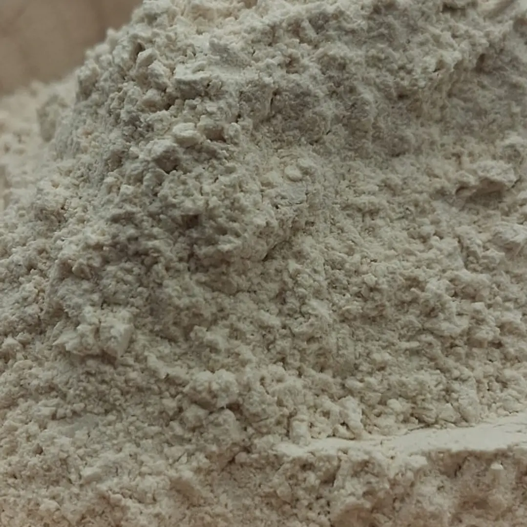 Cebolla en polvo 2