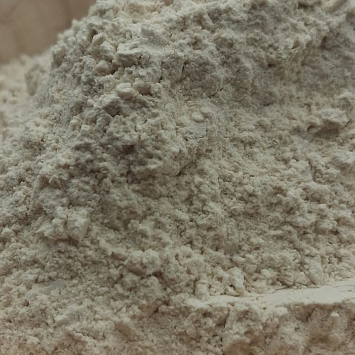 Cebolla en polvo 2