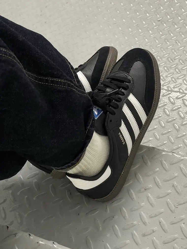 Zapatilla sb 1