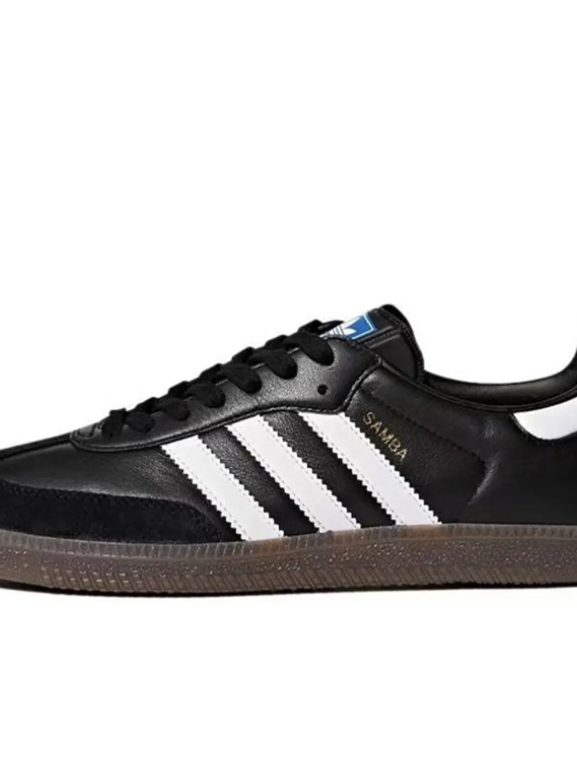 Zapatilla sb 2