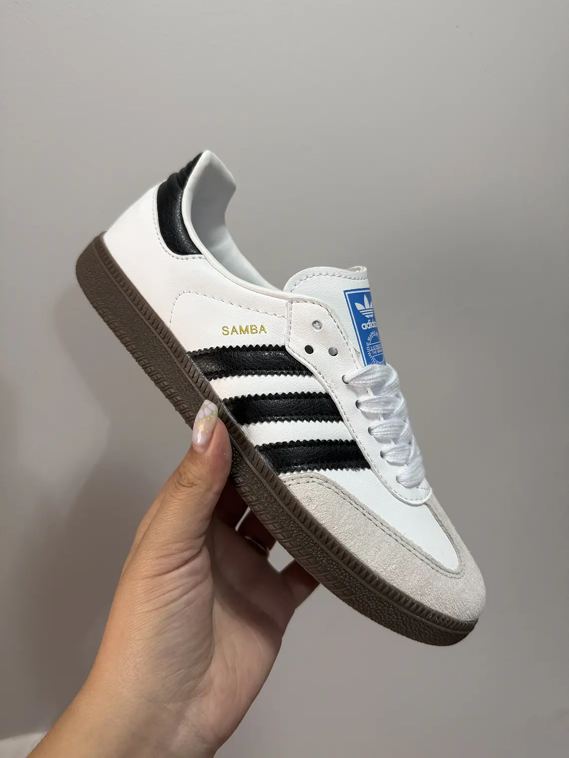 Zapatilla sb 2