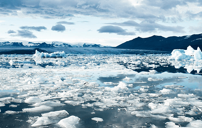 Descubriendo el Fascinante Mundo de los Osos Polares: Protectores del Ártico