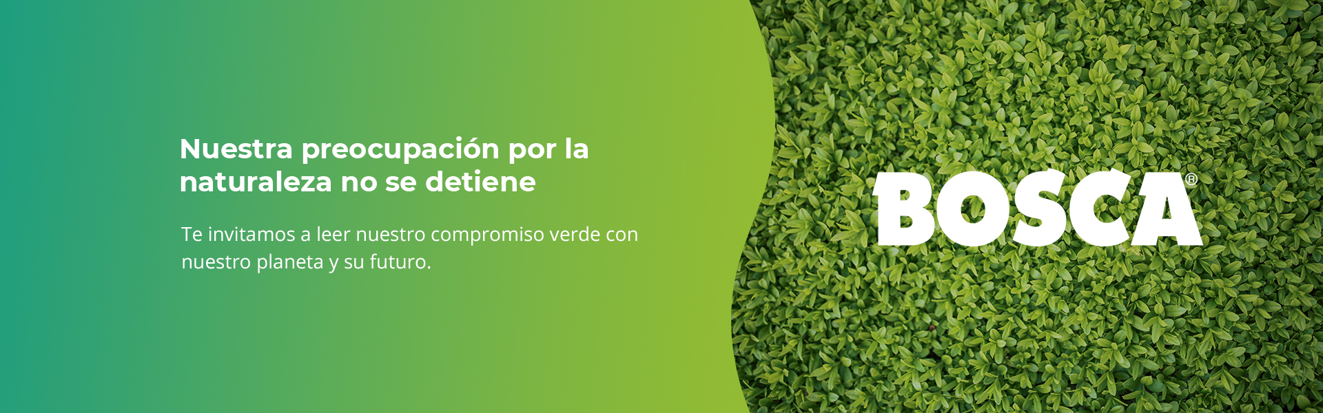 Compromiso Verde