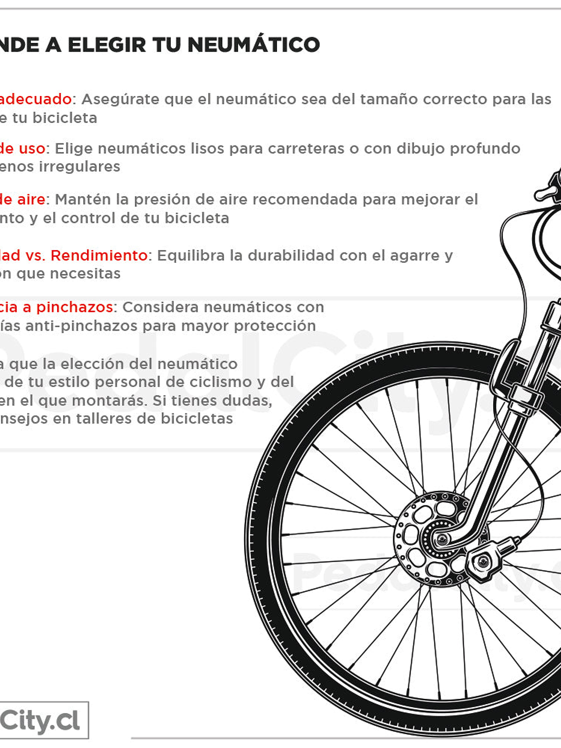 Neumático Ralco Kevlar 700 X 23C 60 Tpi 4