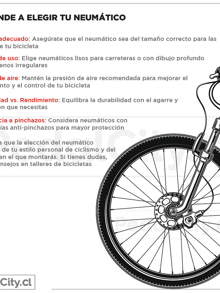 Neumático Ralco Kevlar 700 X 23C 60 Tpi 4