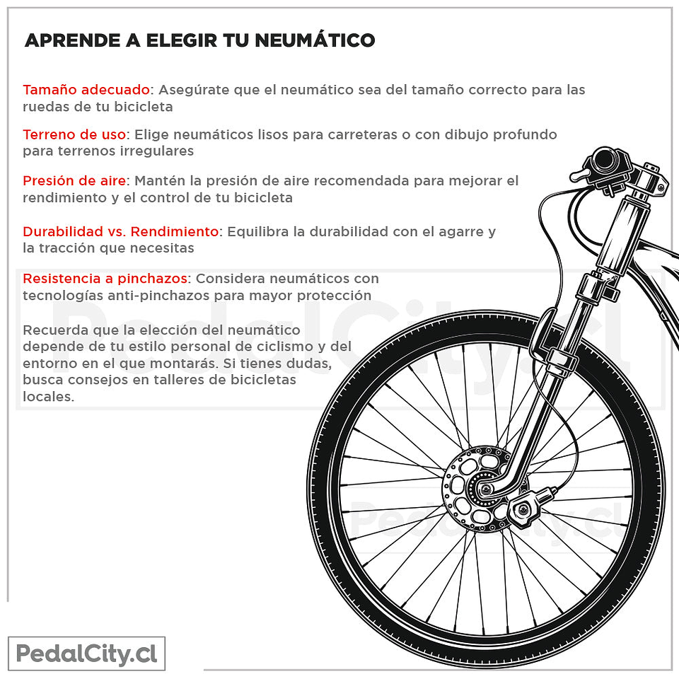 Neumático Ralco Kevlar 700 X 23C 60 Tpi 4