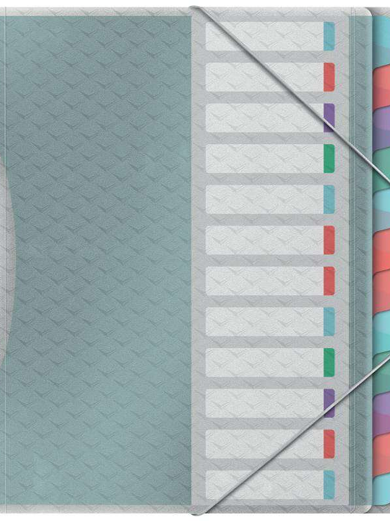 Esselte Colour'Breeze Clasificador con 12 Pestañas Multicolor - Para Formato A4 - 3 Solapas en la Contraportada - Polpropileno en Relieve - Cierre con 1