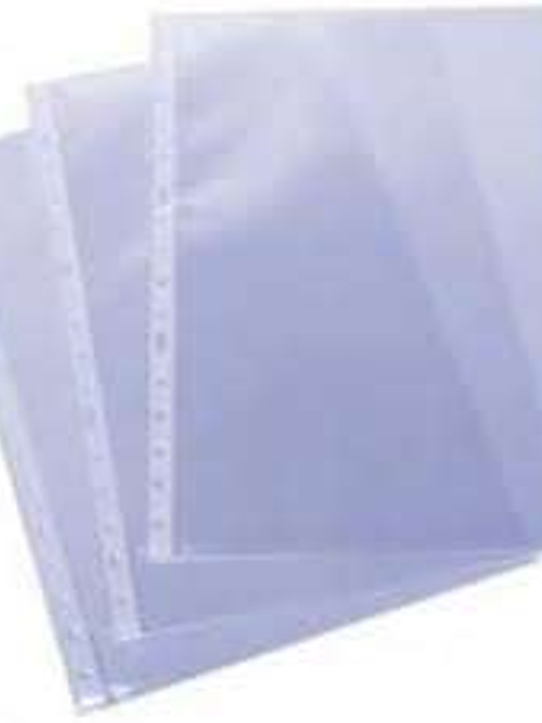 Esselte Pack de 100 Fundas Multitaladro Portadocumentos Formato A4 60 Micras - 16 Taladros - Transparente Acabado Piel de Naranja 1