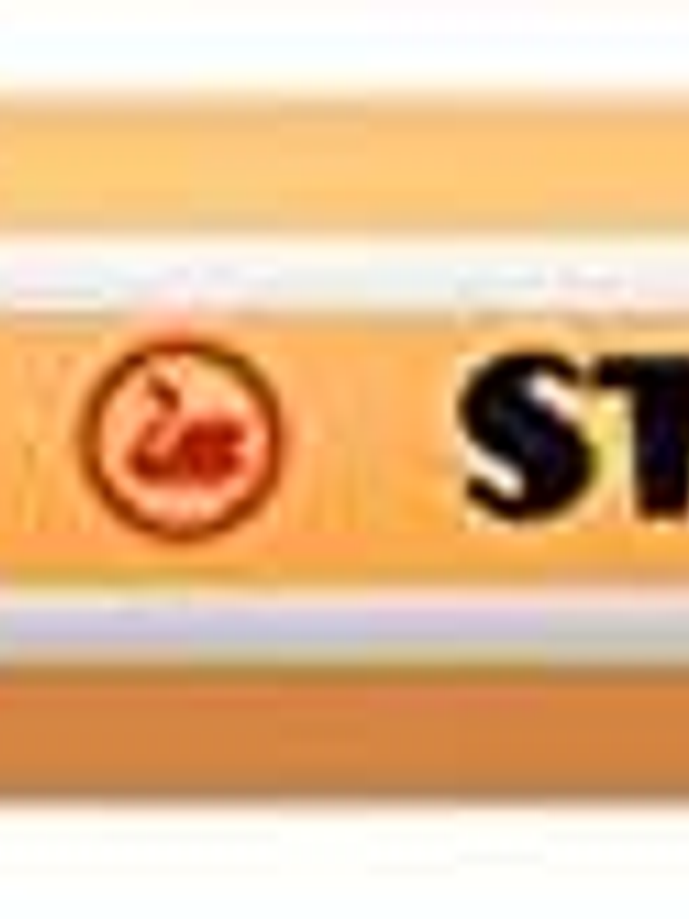 Stabilo Point 88 Rotulador de Punta Fina de Fibra - Trazo de 0.4 mm - Tinta con Base de Agua - Color Rojo Oxido 1