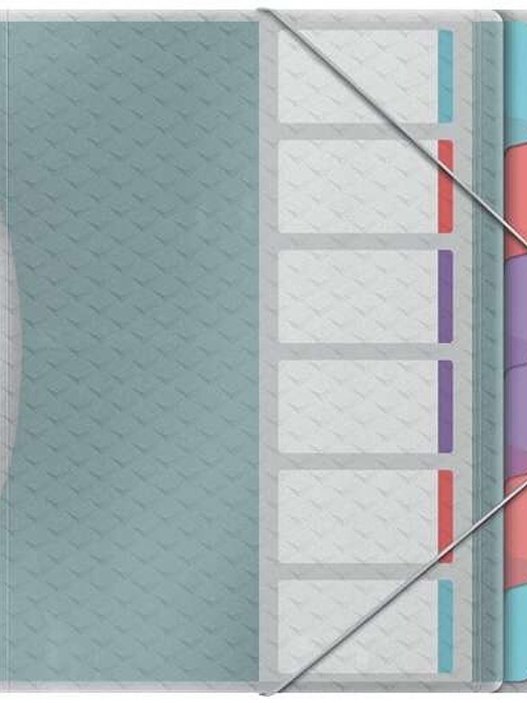 Esselte Colour'Breeze Clasificador con 6 Pestañas Multicolor - Para Formato A4 - 3 Solapas en la Contraportada - Polpropileno en Relieve - Cierre con 1