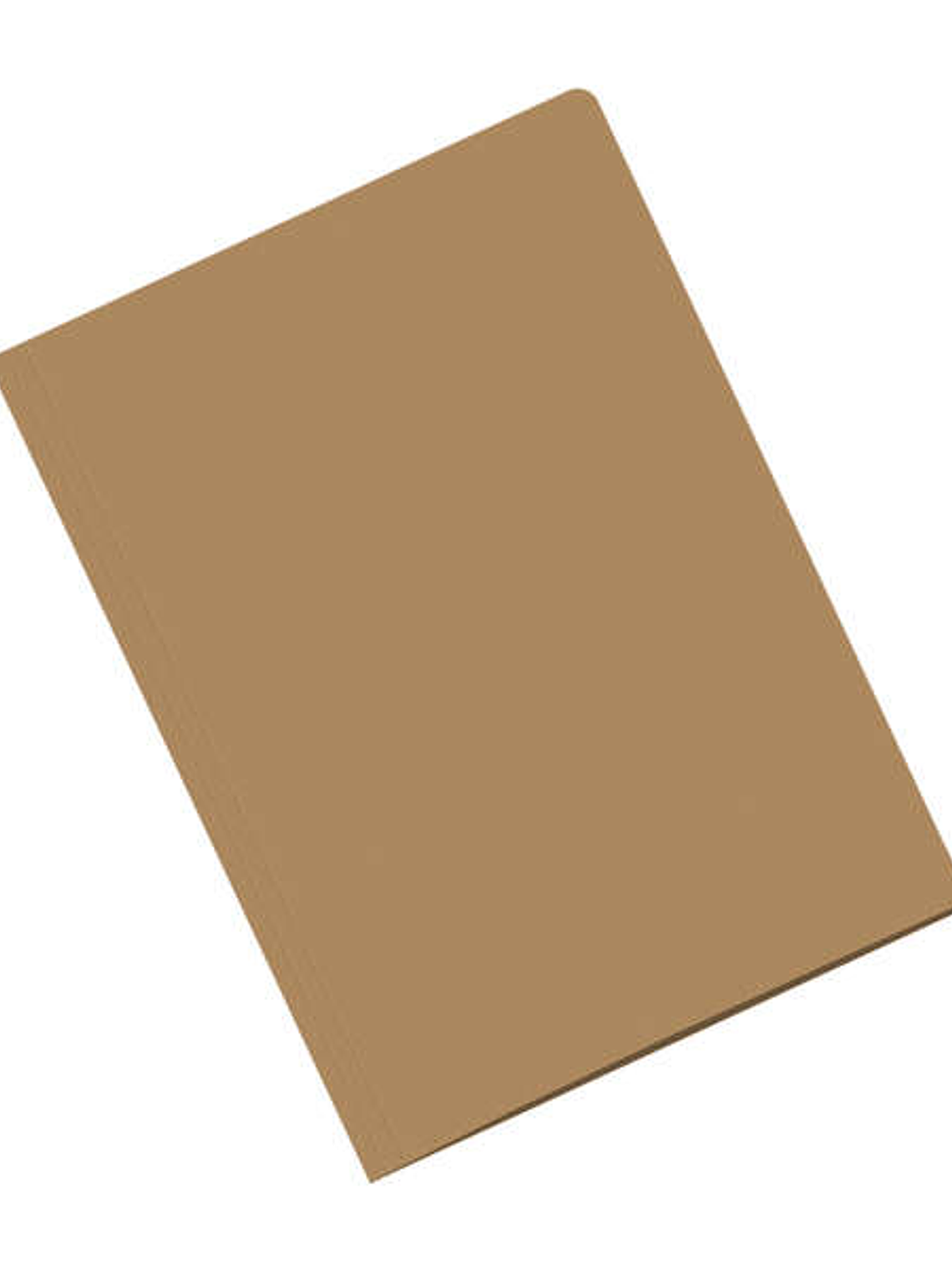 Dohe Pack de 50 Subcarpetas Fabricadas en Cartulina de 170gr - Con Ranura para Fastener - Resistente y Duradera 1