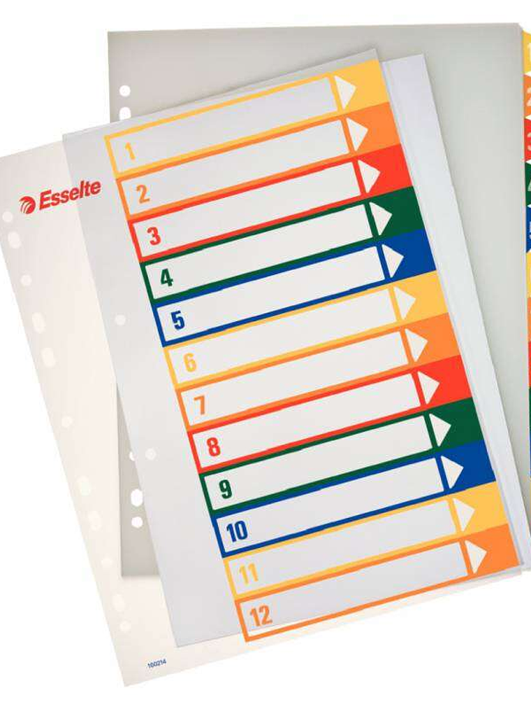 Esselte Indice para Proyectos Imprimible A4 Maxi Tipo 1-12 Multicolor - Multitaladro - Material PP Rigido 300 Micras, Portada 350 Micras 1