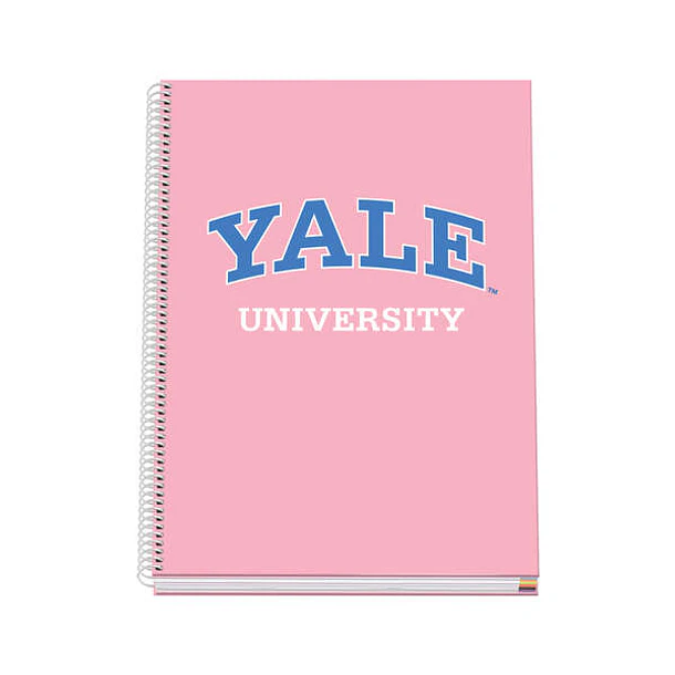 Dohe Cuaderno en Espiral A4 - 228x300mm - Tapa Dura con Carton Forrado - 100 Hojas de Papel Offset de 90gr - Cuadricula de 5mm