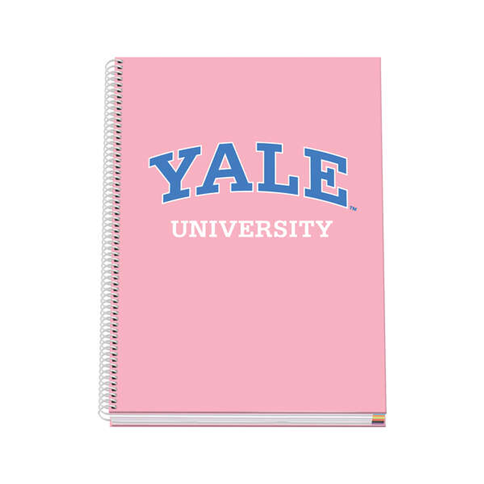 Dohe Cuaderno en Espiral A4 - 228x300mm - Tapa Dura con Carton Forrado - 100 Hojas de Papel Offset de 90gr - Cuadricula de 5mm 1