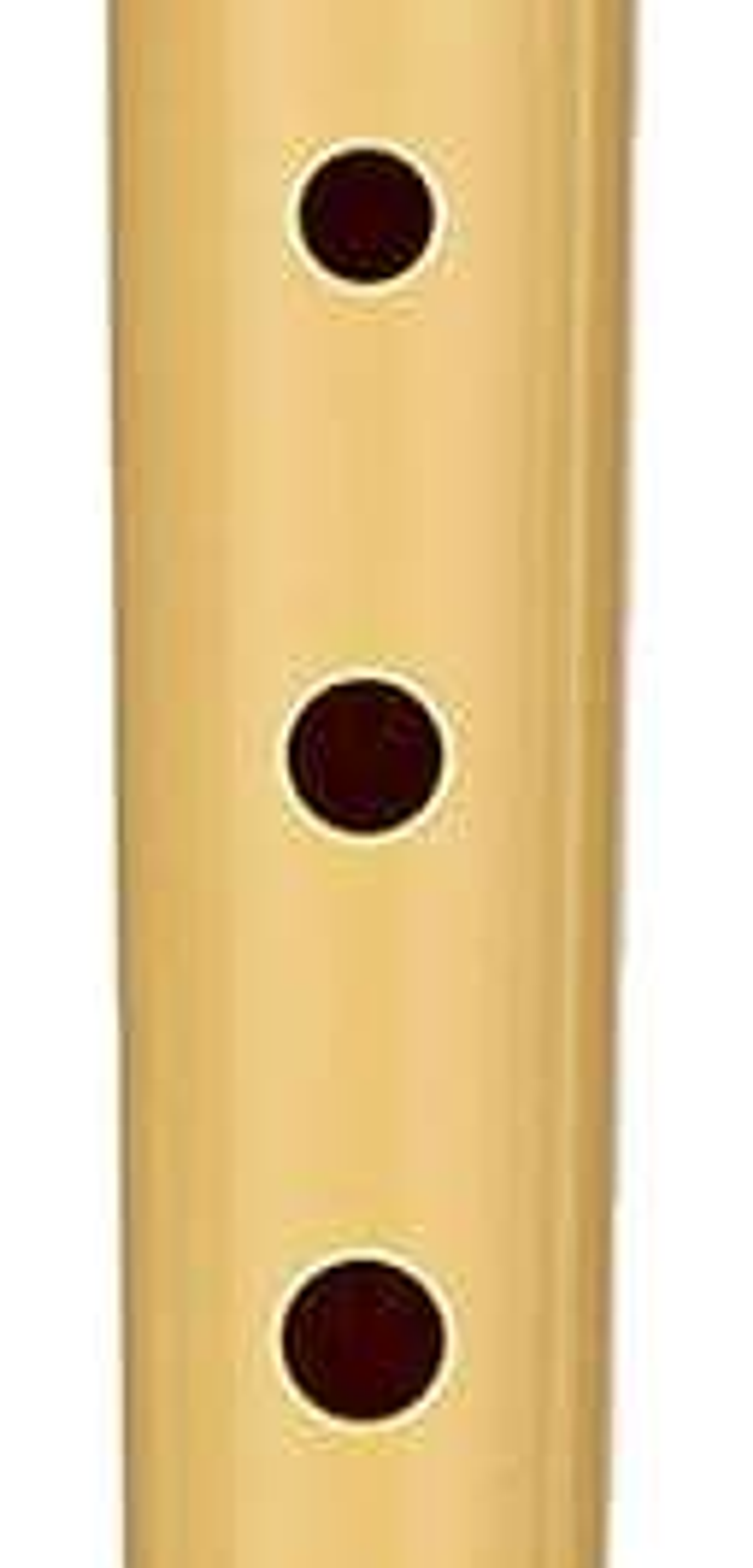 Hohner Flauta Dulce - Fabricada en Plastico - Ideal para los mas Pequeños - Incluye Funda - Color Crema 1