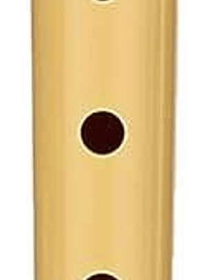 Hohner Flauta Dulce - Fabricada en Plastico - Ideal para los mas Pequeños - Incluye Funda - Color Crema