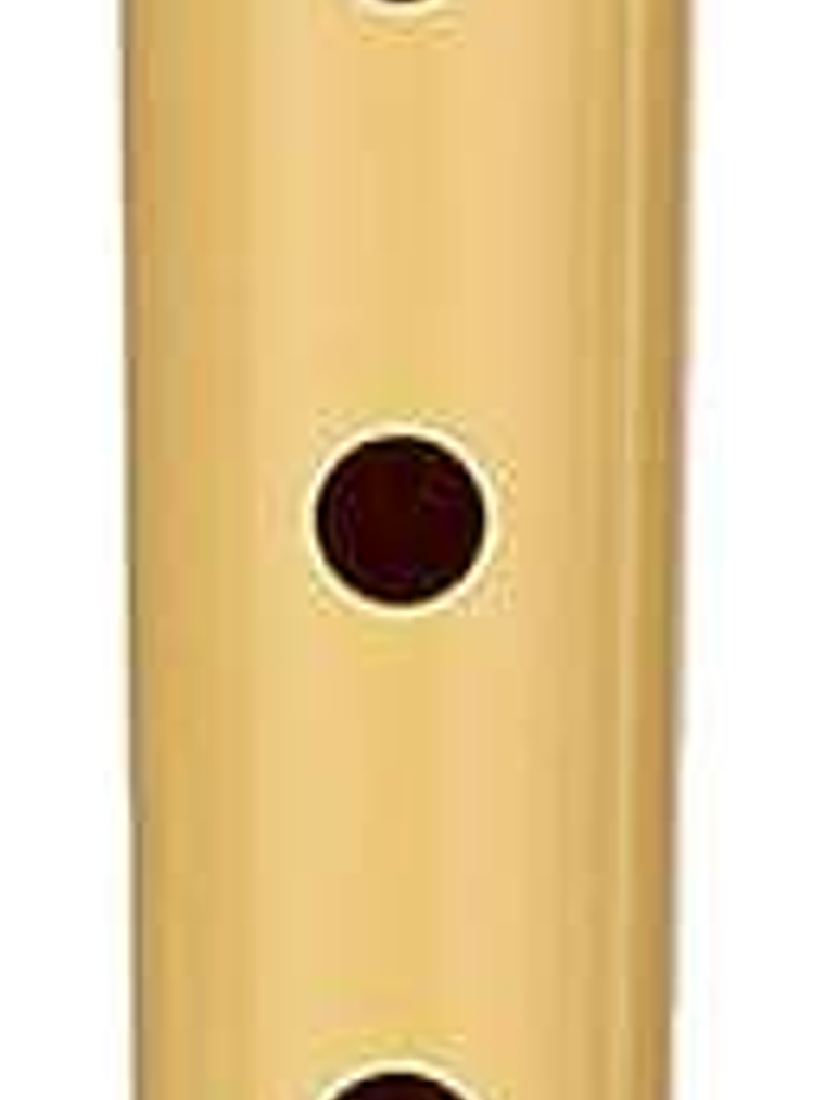 Hohner Flauta Dulce - Fabricada en Plastico - Ideal para los mas Pequeños - Incluye Funda - Color Crema 1