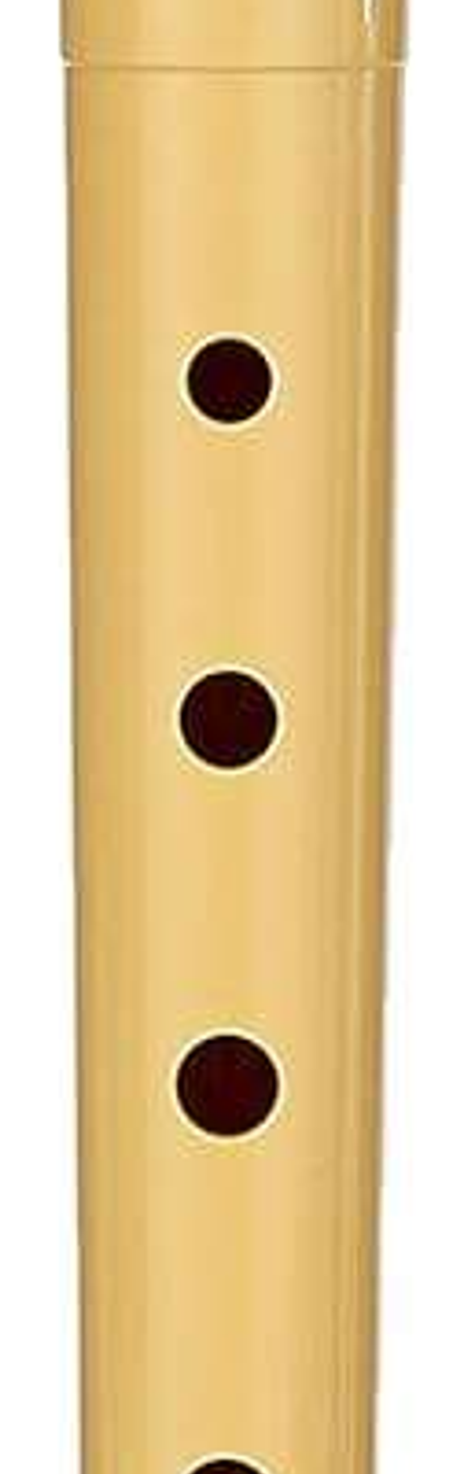 Hohner Flauta Dulce - Fabricada en Plastico - Ideal para los mas Pequeños - Incluye Funda - Color Crema 1