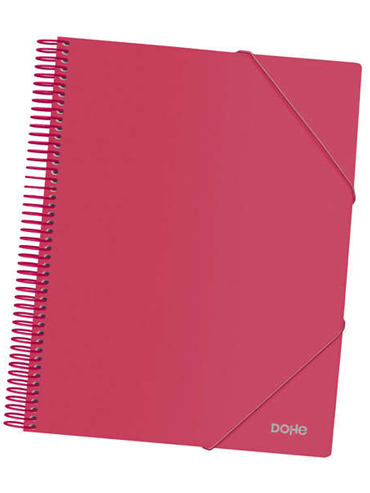 Dohe Carpeta con 30 Fundas Tamaño A4 - Tapa de Polipropileno Opaco 800 Micras - Fundas Transparentes 80 Micras - Espiral de Plastico Color - Gomas Ela 1