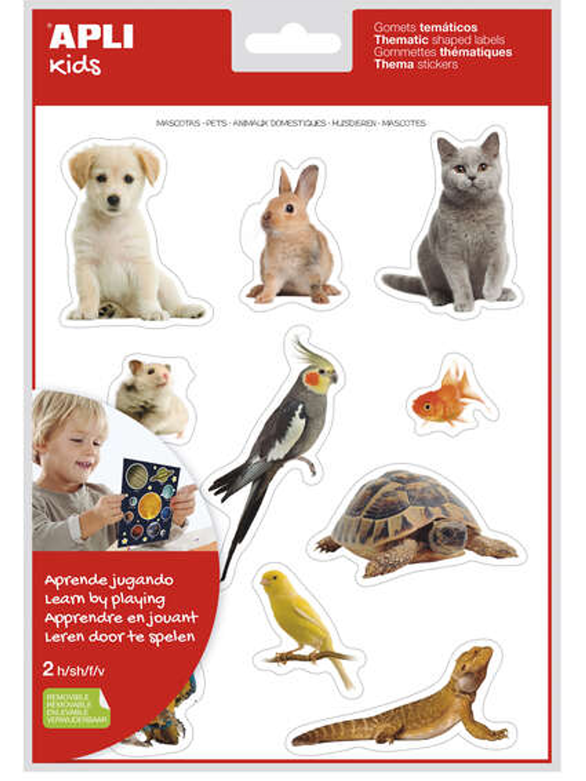 Apli Gomets Tematicos Realistas de Mascotas - 22 Gomets en 2 Hojas - Imagenes Realistas para Relacionar Animales Domesticos - Adhesivo Removible - Nor 1