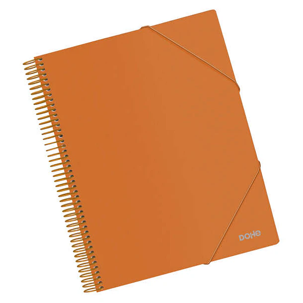 Dohe Carpeta con 30 Fundas Tamaño A4 - Tapa de Polipropileno Opaco 800 Micras - Fundas Transparentes 80 Micras - Espiral de Plastico Color y Gomas Ela