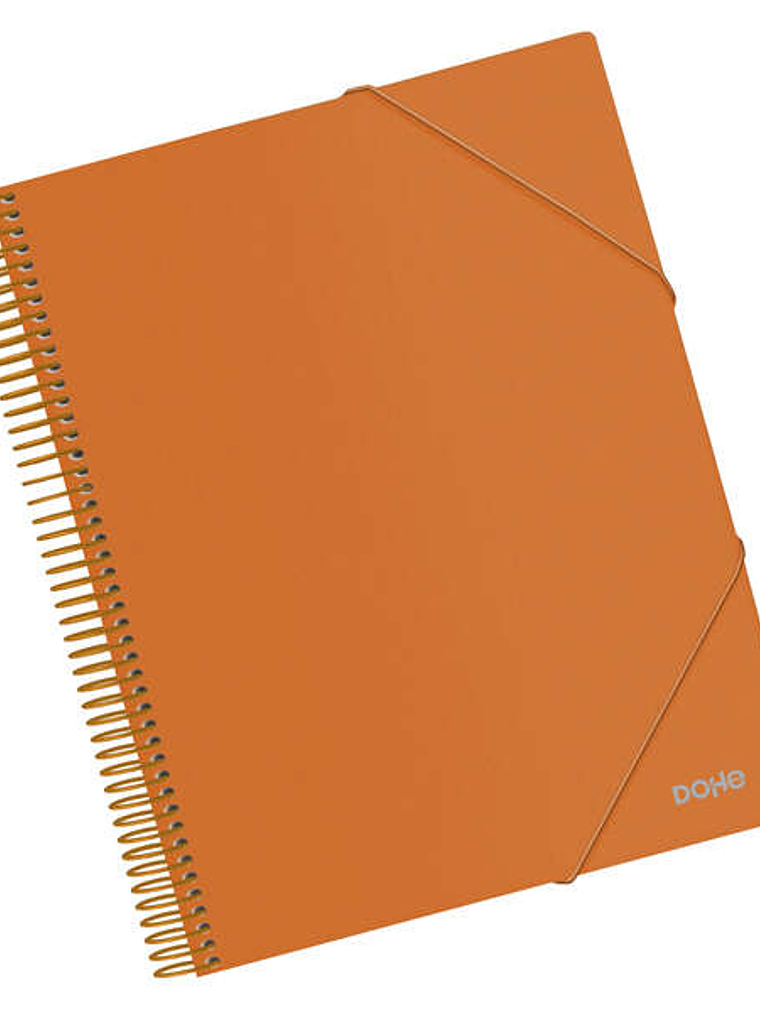 Dohe Carpeta con 30 Fundas Tamaño A4 - Tapa de Polipropileno Opaco 800 Micras - Fundas Transparentes 80 Micras - Espiral de Plastico Color y Gomas Ela 1