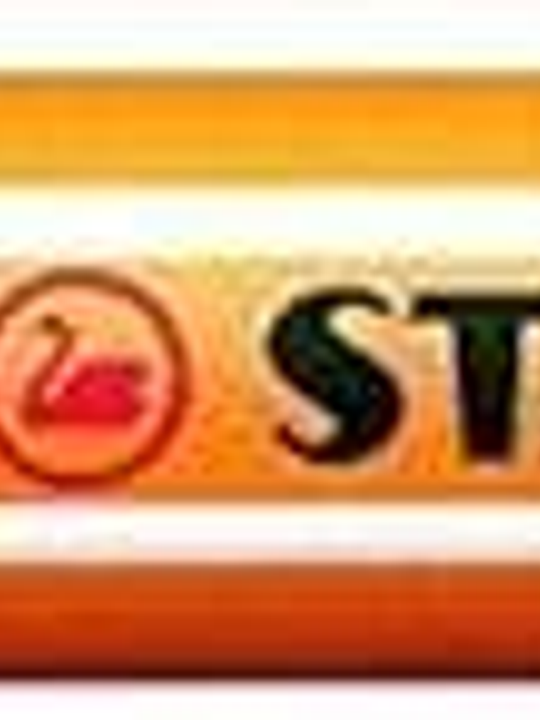 Stabilo Point 88 Rotulador de Punta Fina de Fibra - Trazo de 0.4 mm - Tinta con Base de Agua - Color Verde 1