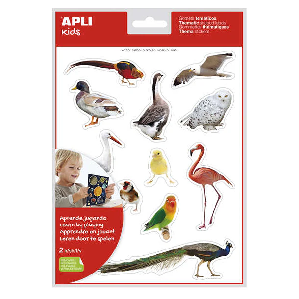 Apli Gomets Tematicos Realistas de Aves - 24 Gomets en 2 Hojas - Imagenes Realistas para Relacionar Aves - Desarrolla Habilidades Motoras - Adhesivo R