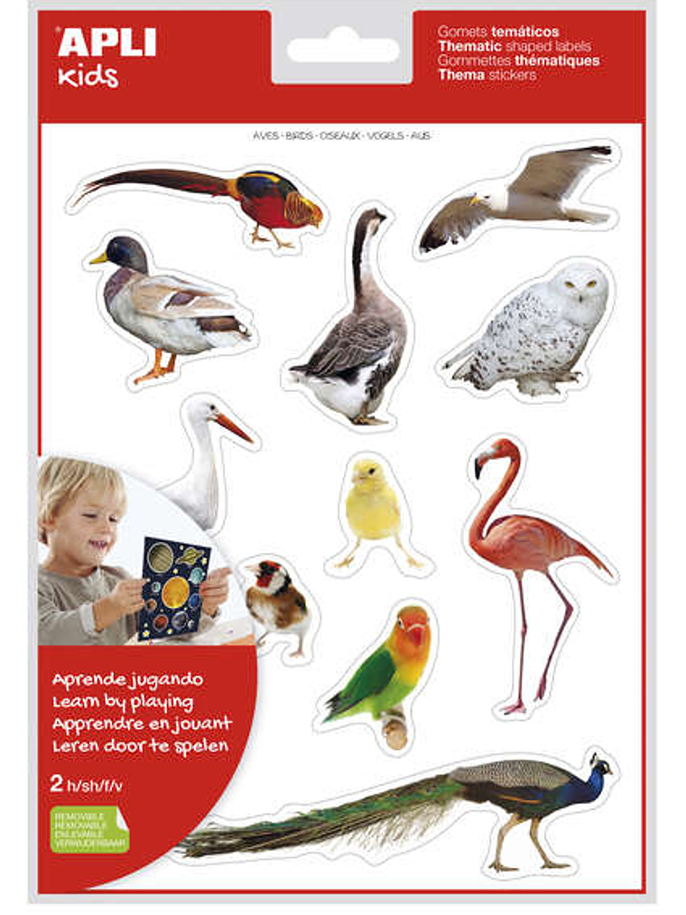 Apli Gomets Tematicos Realistas de Aves - 24 Gomets en 2 Hojas - Imagenes Realistas para Relacionar Aves - Desarrolla Habilidades Motoras - Adhesivo R 1