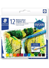 Staedtler Crayones Acuarelables 223 Pack de 12 Lapices de Cera - Facil de Mezclar - Extremadamente Opacos - Colores Surtidos