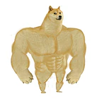 Doge With Variants 123456 1
