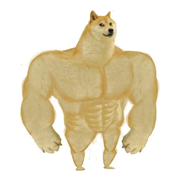 Doge With Variants 123456 1