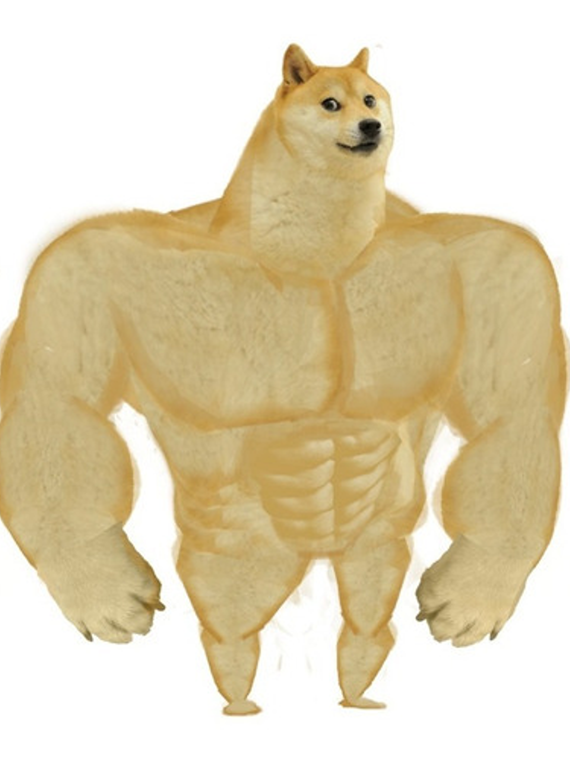 Doge With Variants 123456 1
