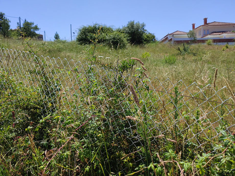 Balanza De Cocina Balanza Cocina 500g 1