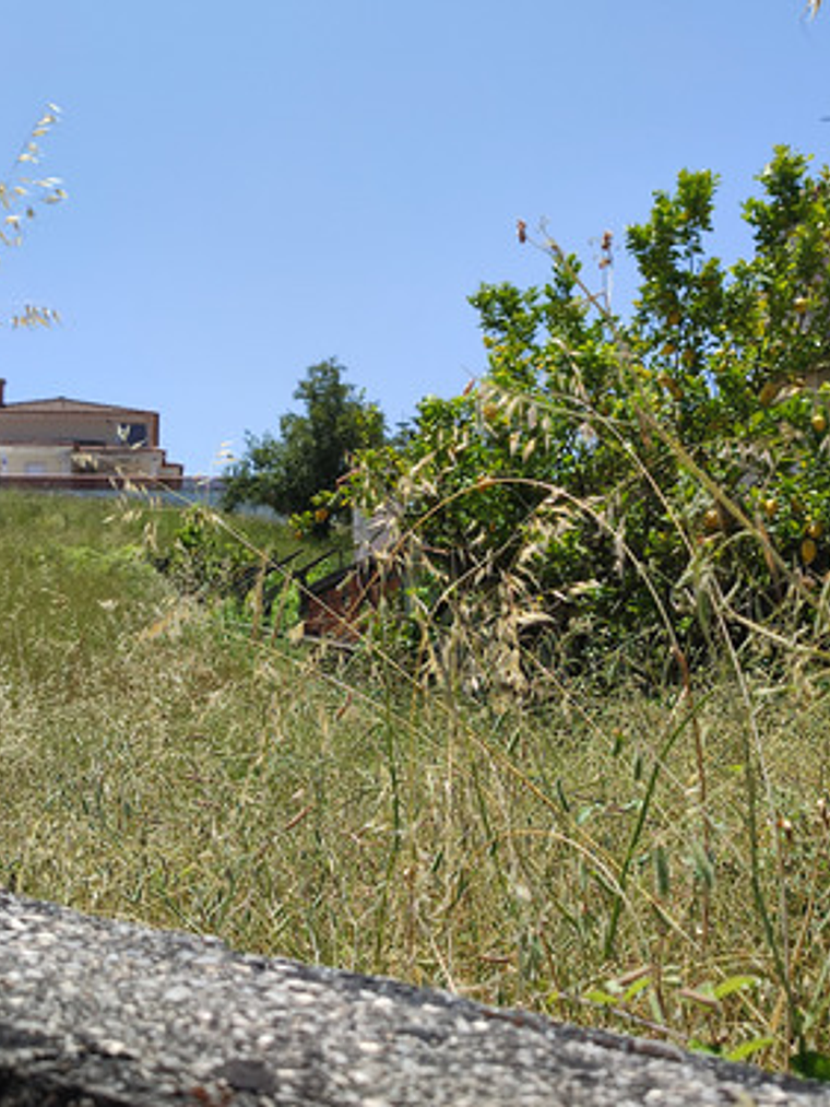 Balanza De Cocina Balanza Cocina 500g 3