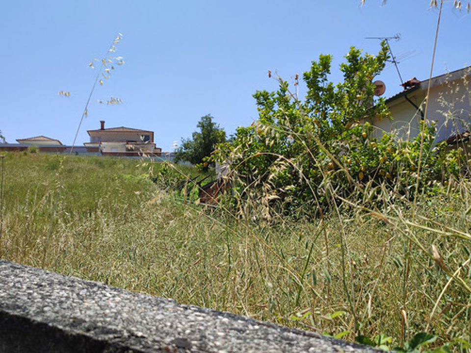 Balanza De Cocina Balanza Cocina 500g 3