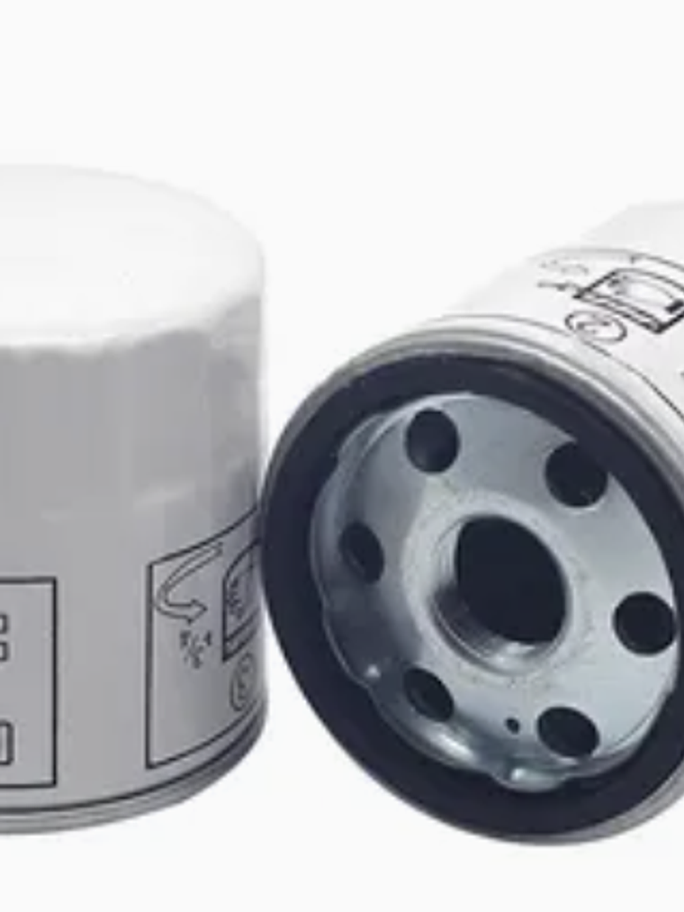 FILTRO ACEITE VIGUS 2.4 ORIGINAL 1