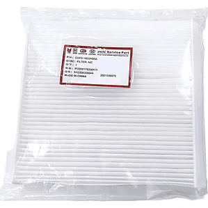 FILTRO POLEN VIGUS 2.5 ORIGINAL