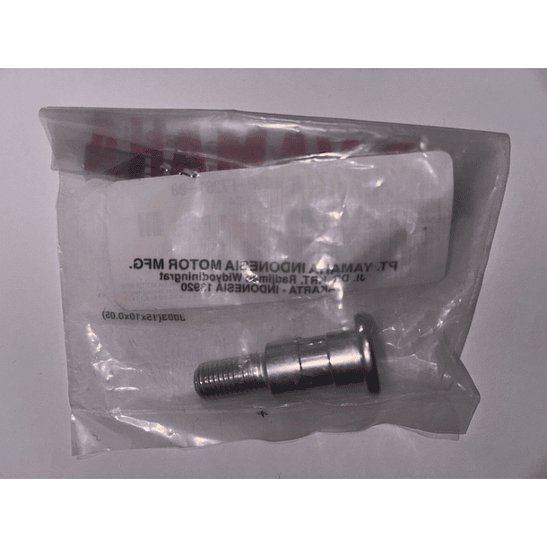 Perno Tornillo Pedal Cambio Yamaha R3/a Mt03/a Original 4