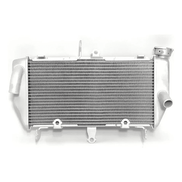 Radiador Yamaha Mt03 Mt03a Mt 03 Original B04e24610000