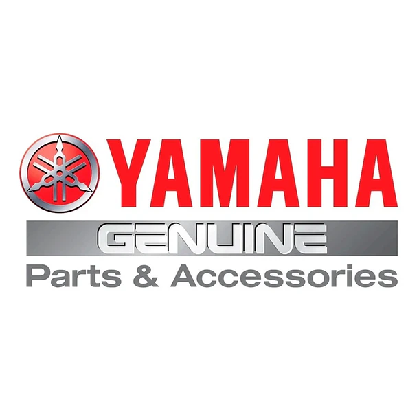Filtro De Aire Yamaha Fz-s 3.0 4.0 Original 3