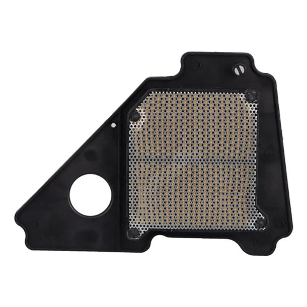 Filtro De Aire Yamaha Ybr125 Ybr125z Original 3